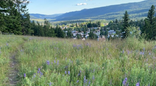 5 Thompson, Cariboo recreational organizations receive grants for facility upgrades
