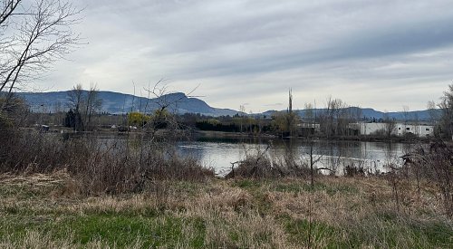 VIDEO: Road extension plans create a flap at Kelowna's Munson Pond